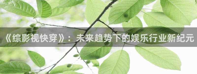 大地资源视频在线观看高清播放