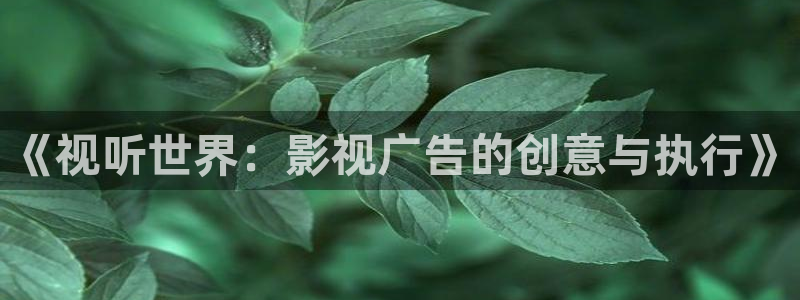 大连大地影院影讯：《视听世界：影视广告的创意与执行》