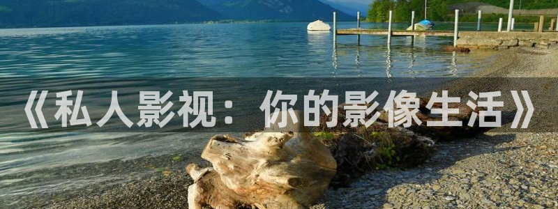 大地资源高清在线播放电影：《私人影视：你的影像生活》
