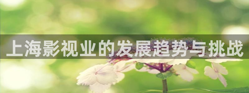 亳州大地影院